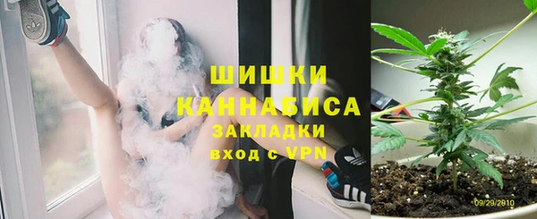 молекула духа Рославль